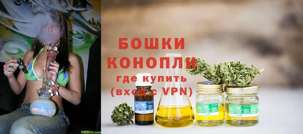 мяу мяу кристалл Корсаков