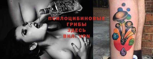 spice Куйбышев