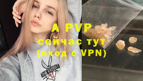 spice Куйбышев