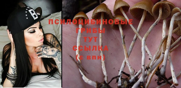 MDMA Premium VHQ Кукмор